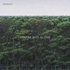 Semisonic - You're Not Alone