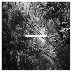 Pekler Andrew - Tristes Tropiques