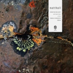Mullaert Sebastian - Natthall (2Lp)