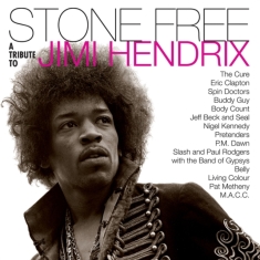 Various artists - Stone free-Tribute to Jimi Hendrix (Black & Clear Vinyl) Rocktober