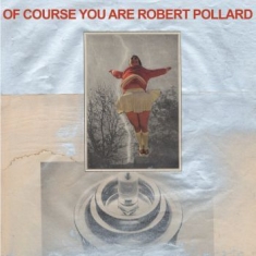 Pollard Robert - Of Course You Are