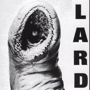 Lard - Power Of Lard