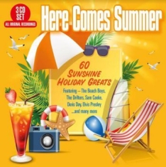 Blandade Artister - Here Comes The Summer - 60 Sunshine