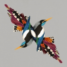 Shire T - Tomorrow's People