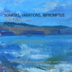 Various - Sonatas, Variations, Impromptus