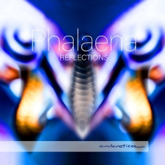 Phalaena - Reflections for harp, violin & accordion
