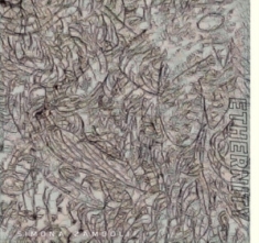 Simona Zamboli - Ethernity
