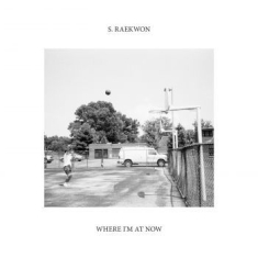S. Raekwon - Where I'm At Now (Opaque Custard Vi