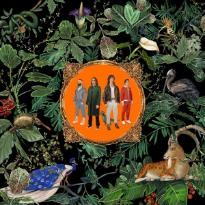 Don Broco - Amazing Things (Vinyl)