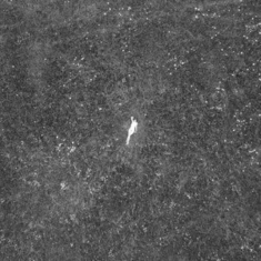 Birds Of Passage - The Last Garden