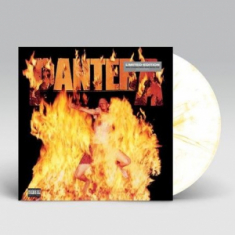 Pantera - Reinventing The Steel (MARBLED YELLOW VINYL)