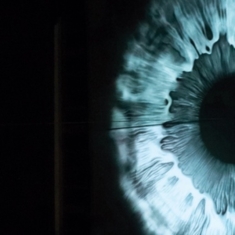 Hems - Chaotic Affair