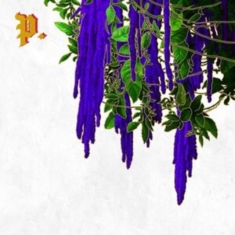 Proper. - Great American Novel (Clear & Splat