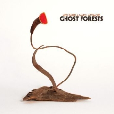 Baird Meg & Mary Lattimore - Ghost Forests (Green)