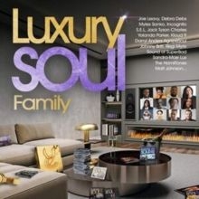 Various artists - Luxury Soul Family in the group OTHER / Övrigt /  at Bengans Skivbutik AB (4135912)