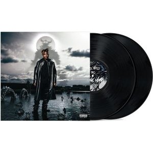 Juice WRLD - Fighting Demons (Vinyl)