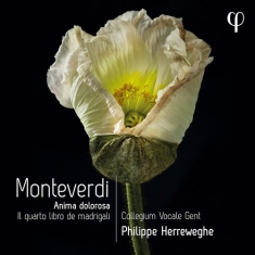 Monteverdi Claudio - Il Quarto Libro De Madrigali