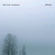 Risberg Mattias - Still
