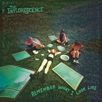 Inflorescence The - Remember What I Look Like (Clear Wi