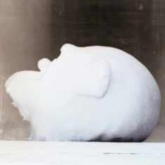 Tompkins Laurie - Fatty