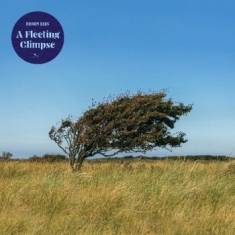 Riis Bjørn - A Fleeting Glipse