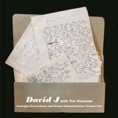 David J With Tim Newman - Analogue Excavations & Dream... Vol