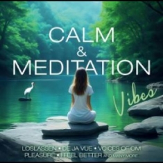 Various Artists - Calm & Meditation Vibes