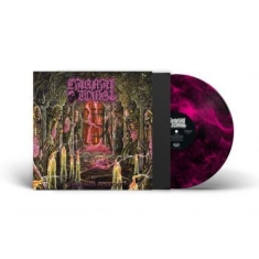 Carnal Tomb - Embalmed In Decay (Magenta Marbled