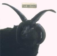 Cult The - The Cult in the group CD / Pop at Bengans Skivbutik AB (503121)