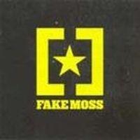 Fake Moss - Shes Smashing The Room Again in the group CD / Pop-Rock at Bengans Skivbutik AB (516816)