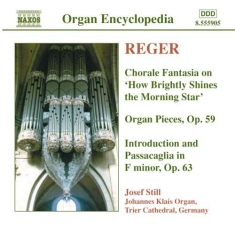 Reger Max - Organ Works Vol 4