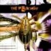 Firestarter - Tribute To Prodigy in the group CD / Rock at Bengans Skivbutik AB (526173)