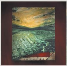 Von Till Steve - If I Should Fall To The Field in the group CD / Rock at Bengans Skivbutik AB (533631)