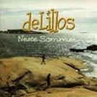 De Lillos - Neste Sommer in the group CD / Pop at Bengans Skivbutik AB (535258)