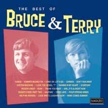 Bruce & Terry - Best Of Bruce & Terry in the group OUR PICKS / Classic labels / Sundazed / Sundazed CD at Bengans Skivbutik AB (538332)