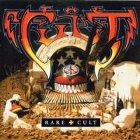 Cult The - Best Of Rare Cult in the group CD / Pop at Bengans Skivbutik AB (549181)