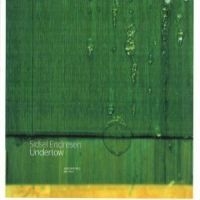 Endresen Sidsel - Undertow in the group CD / Jazz/Blues at Bengans Skivbutik AB (549620)