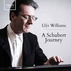 Bolcom William Liszt Franz Schu - A Schubert Journey (8 Cd)
