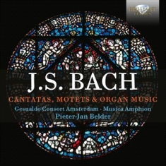 Bach Johann Sebastian - Cantatas, Motets & Organ Music (6Cd
