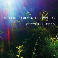 Aerial Ship Of Flowers - Speaking Trees