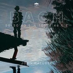 Bach Johann Sebastian - Organ Landscapes - Arnstadt, Brandi