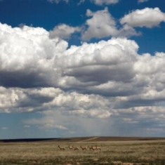 Fruit Bats - Tripper (Deluxe Reissue, White Viny