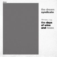 Dream Syndicate The - Sketches For The Days Of Wine And R