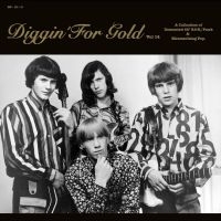 Various Artists - Diggin' For Gold Vol. 14