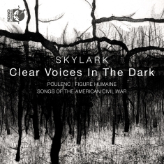 Skylark Matthew Guard - Clear Voices In The Dark