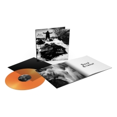 David Gilmour - Luck And Strange (Orange Crush Gatefold LP)