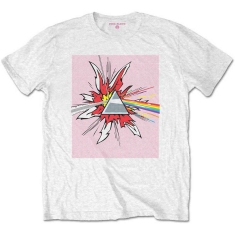 Pink Floyd - Lichtenstein Prism Uni Wht 