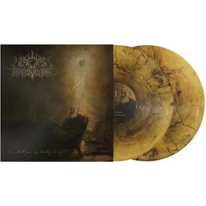 A Wake In Providence - I Write To You, My Darling Decay