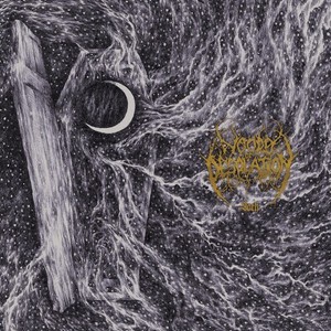 Woods Of Desolation - Sorh (Vinyl Lp)