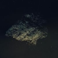 Multicast Dynamics - Lost World [Limited Indie Exclusive